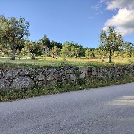 Arpuro Villa โกเวยา ภายนอก รูปภาพ