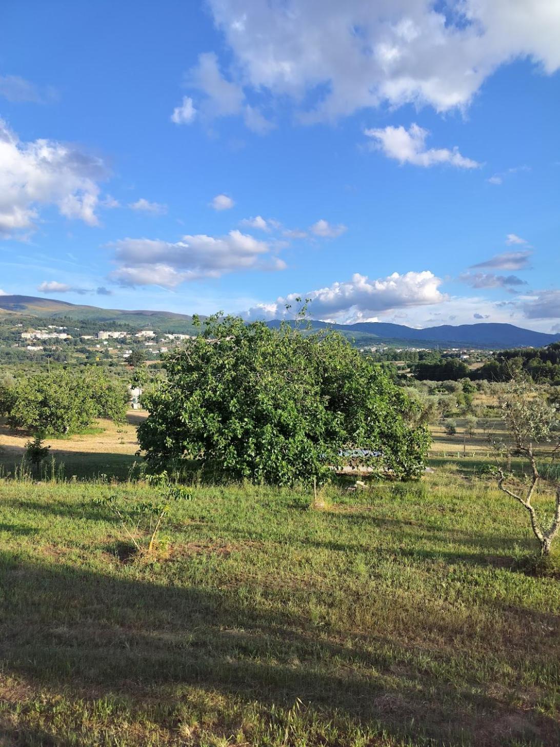 Arpuro Villa โกเวยา ภายนอก รูปภาพ